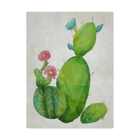 Chariklia Zarris 'Cacti Collection I' Canvas Art,24x32